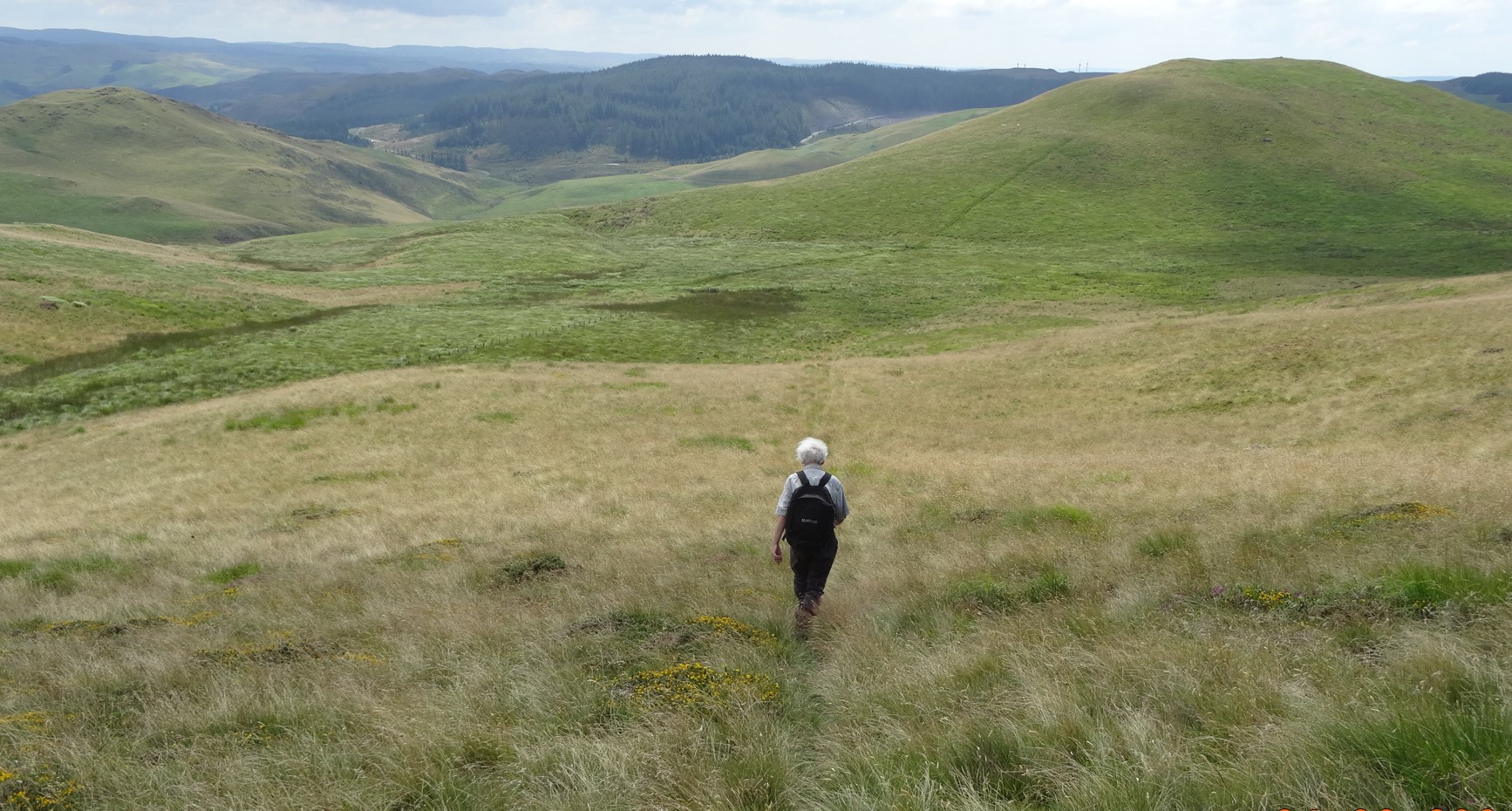 RachelSeabrook.net | Wild Walking | Disgwylfa-Fawr | pic09